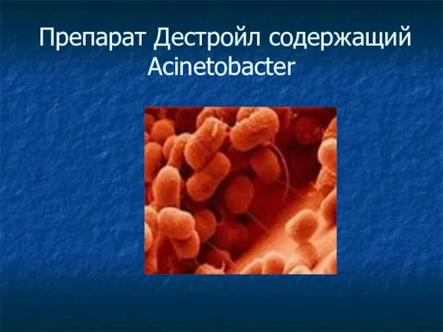 Препарат Дестройл содержащий Acinetobacter