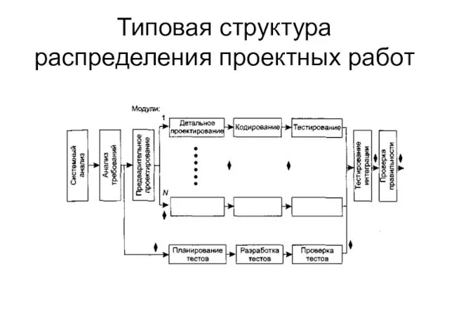 Типовая структура распределения проектных работ