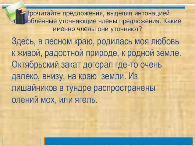 Прочитайте предложения, выделяя интонацией обособленные уточняющие члены предложения. Какие именно члены они