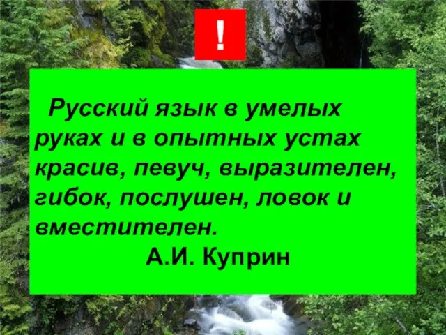 Русский язык в умелых руках и в опытных устах красив, певуч, выразителен,