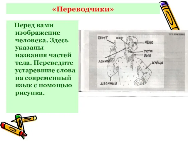 «Переводчики» Перед вами изображение человека. Здесь указаны названия частей тела. Переведите устаревшие