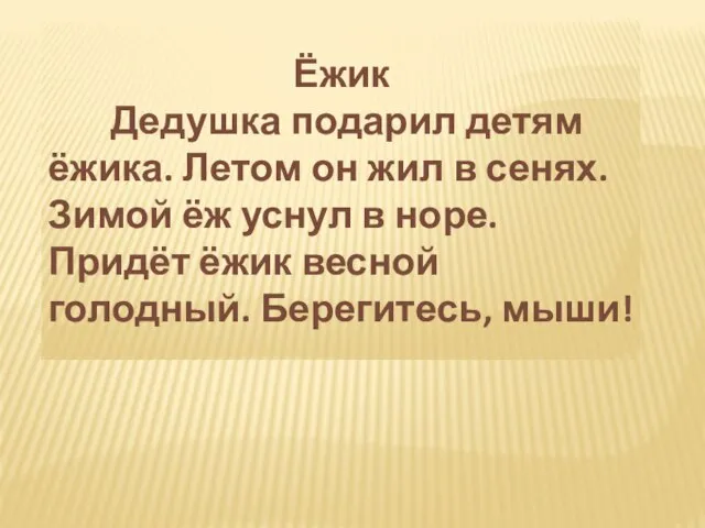 Ёжик Дедушка подарил детям ёжика. Летом он жил в сенях. Зимой ёж