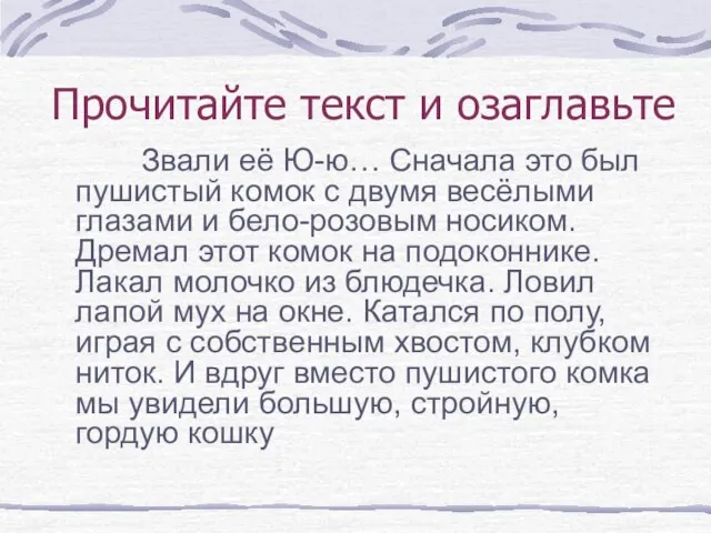 Звали её Ю-ю… Сначала это был пушистый комок с двумя весёлыми глазами