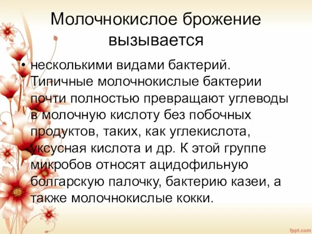 Молочнокислое брожение вызывается несколькими видами бактерий. Типичные молочнокислые бактерии почти полностью превращают