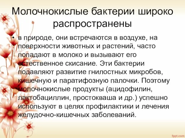 Молочнокислые бактерии широко распространены в природе, они встречаются в воздухе, на поверхности