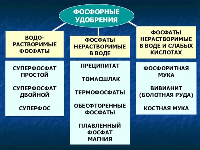 ФОСФОРНЫЕ УДОБРЕНИЯ СУПЕРФОСФАТ ПРОСТОЙ СУПЕРФОСФАТ ДВОЙНОЙ СУПЕРФОС ВОДО- РАСТВОРИМЫЕ ФОСФАТЫ ФОСФОРИТНАЯ МУКА