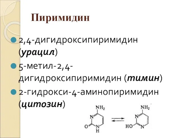 Пиримидин 2,4-дигидроксипиримидин (урацил) 5-метил-2,4-дигидроксипиримидин (тимин) 2-гидрокси-4-аминопиримидин (цитозин)