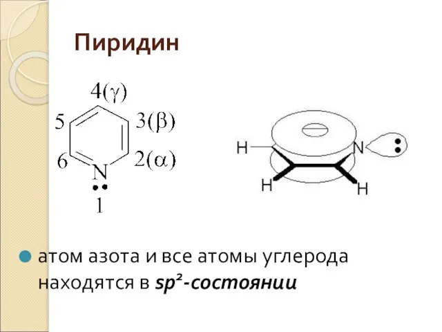 Пиридин атом азота и все атомы углерода находятся в sp2-cостоянии