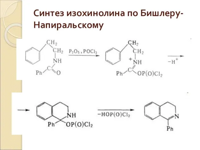 Синтез изохинолина по Бишлеру-Напиральскому