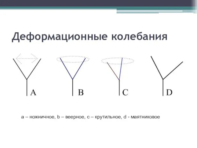 Деформационные колебания а – ножничное, b – веерное, c – крутильное, d - маятниковое