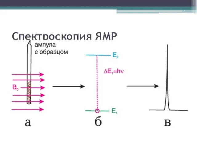 Спектроскопия ЯМР