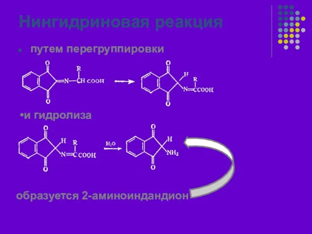 Нингидриновая реакция путем перегруппировки и гидролиза образуется 2-аминоиндандион