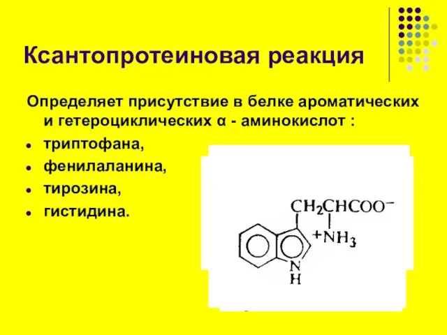 Ксантопротеиновая реакция Определяет присутствие в белке ароматических и гетероциклических α - аминокислот