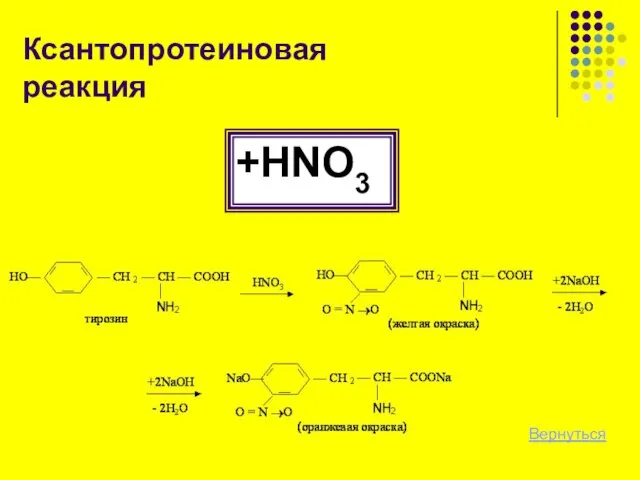 Ксантопротеиновая реакция +HNO3 Вернуться