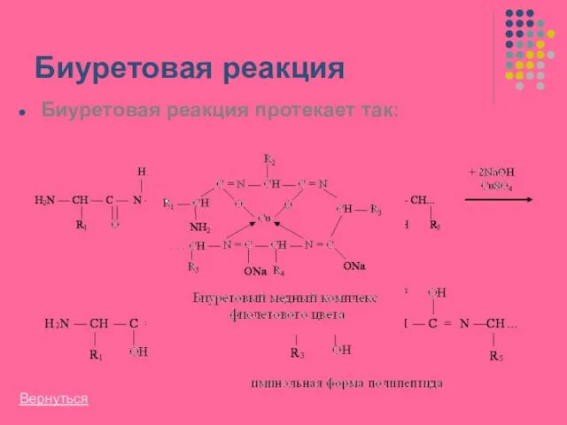 Биуретовая реакция Биуретовая реакция протекает так: +CuSO4 +NaOH Вернуться