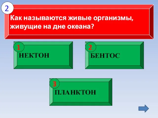 Как называются живые организмы, живущие на дне океана? 2