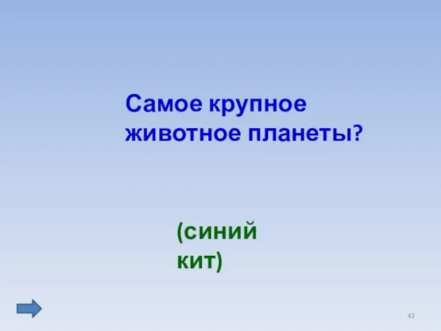 Самое крупное животное планеты? (синий кит)