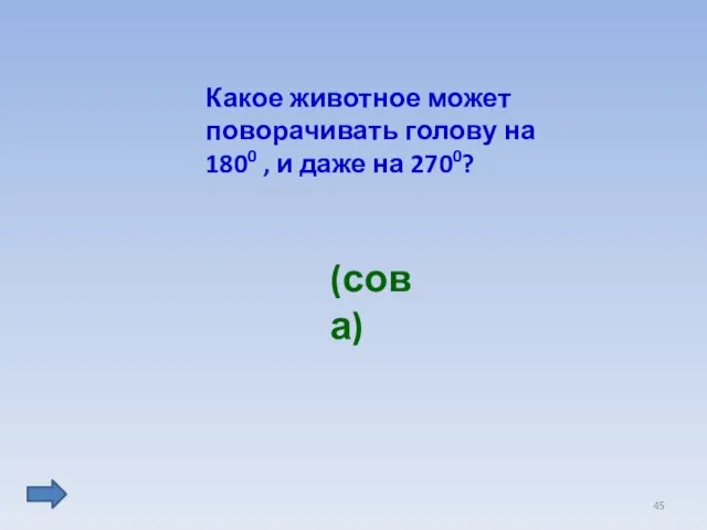 Какое животное может поворачивать голову на 1800 , и даже на 2700? (сова)