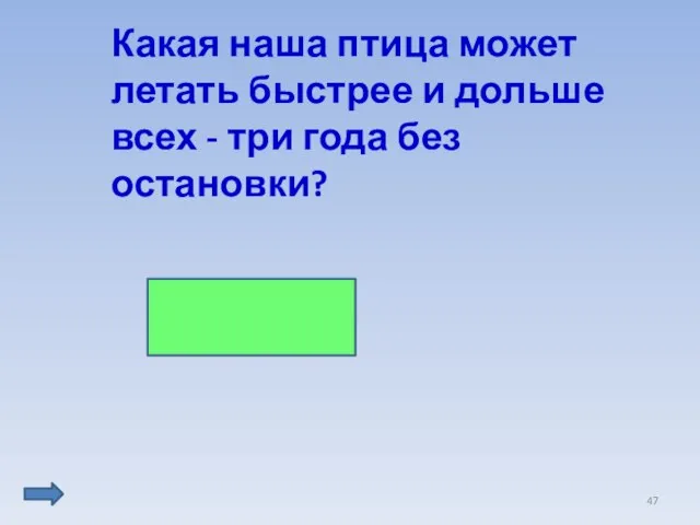 Какая наша птица может летать быстрее и дольше всех - три года без остановки? Стриж