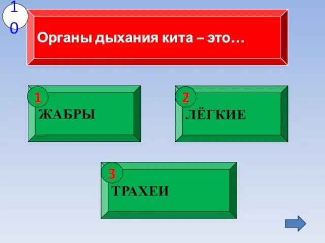 Органы дыхания кита – это… 10