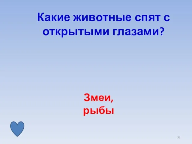 Какие животные спят с открытыми глазами? Змеи, рыбы