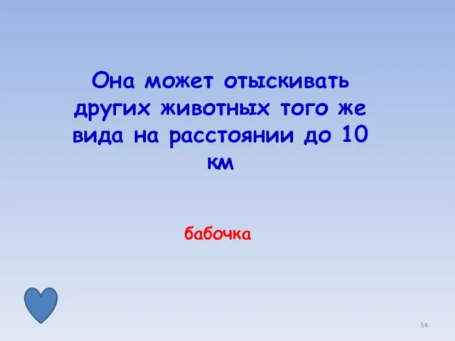 Она может отыскивать других животных того же вида на расстоянии до 10 км бабочка