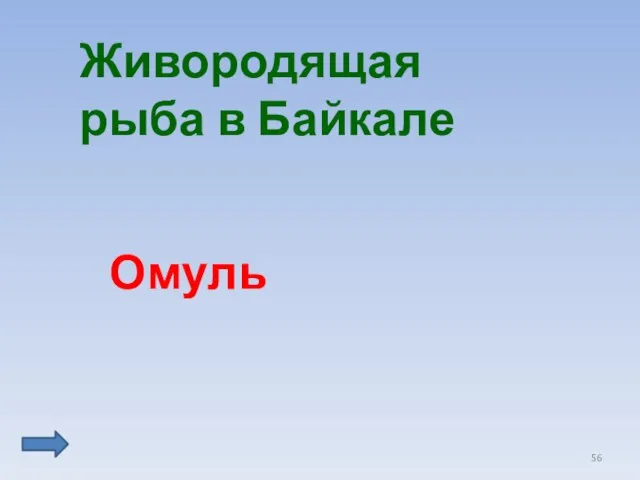 Живородящая рыба в Байкале Омуль