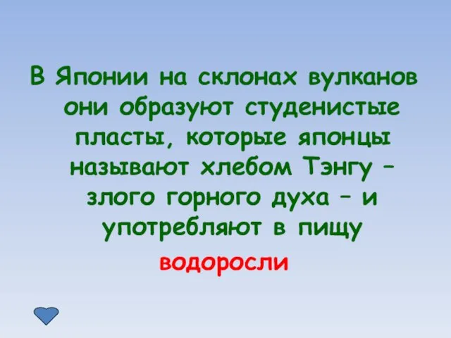 В Японии на склонах вулканов они образуют студенистые пласты, которые японцы называют