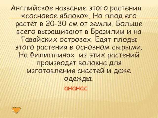 Английское название этого растения «сосновое яблоко». Но плод его растёт в 20-30