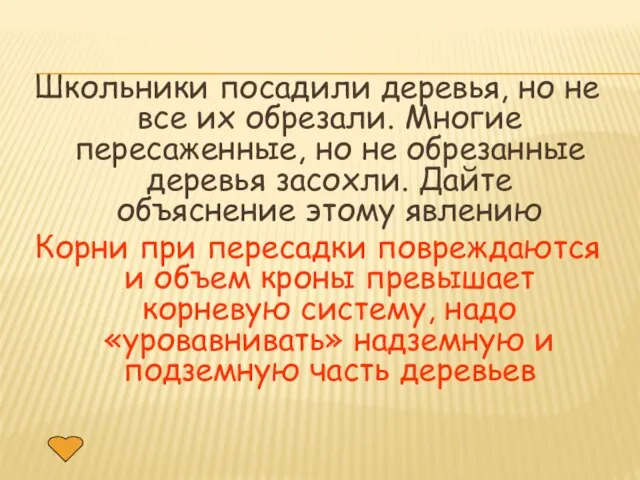 Школьники посадили деревья, но не все их обрезали. Многие пересаженные, но не