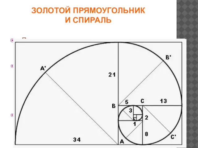 ЗОЛОТОЙ ПРЯМОУГОЛЬНИК И СПИРАЛЬ Прямоугольник с пропорциями золотого сечения называется идеальный прямоугольник