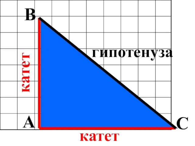 A B C гипотенуза катет катет