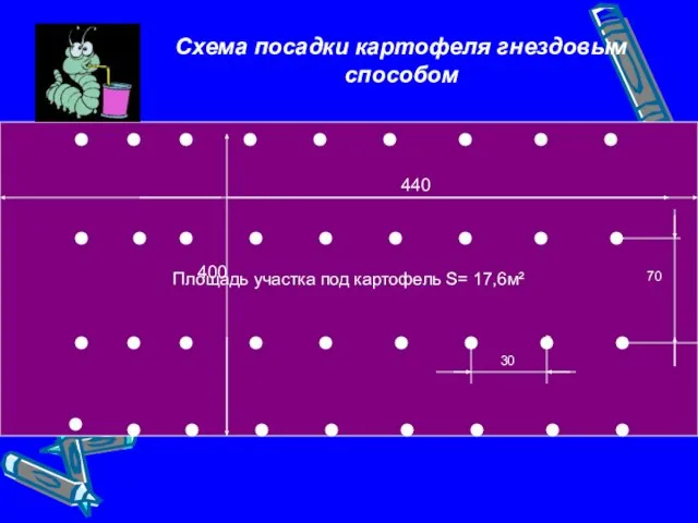 Площадь участка под картофель S= 17,6м² Схема посадки картофеля гнездовым способом 30 70 440 400