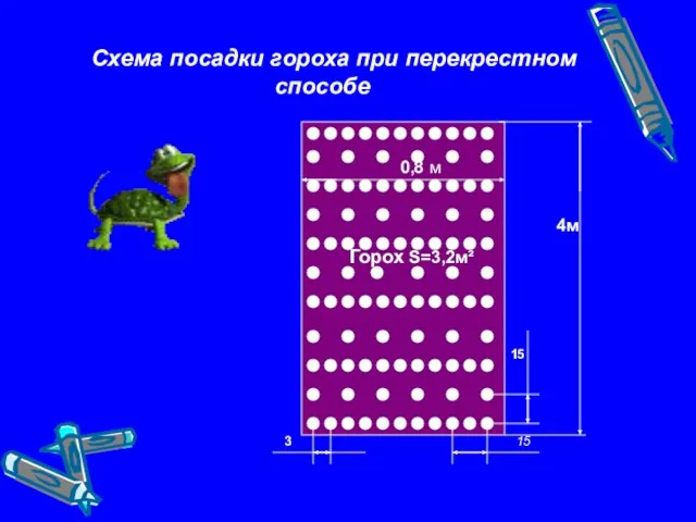 Схема посадки гороха при перекрестном способе Горох S=3,2м² 3 15 15 0,8 4м м