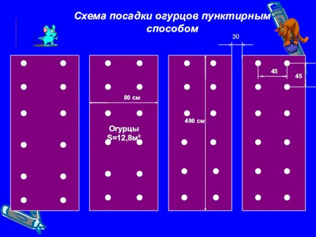 Огурцы S=12,8м² Схема посадки огурцов пунктирным способом 45 45 30 80 см 400 см