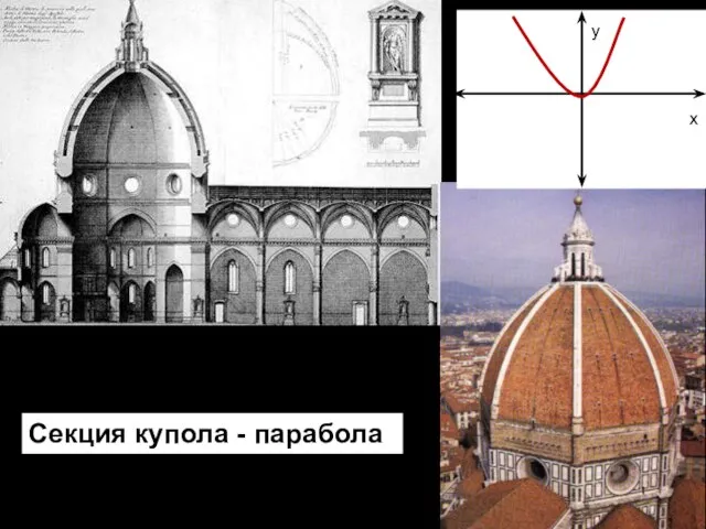 Секция купола - парабола у х