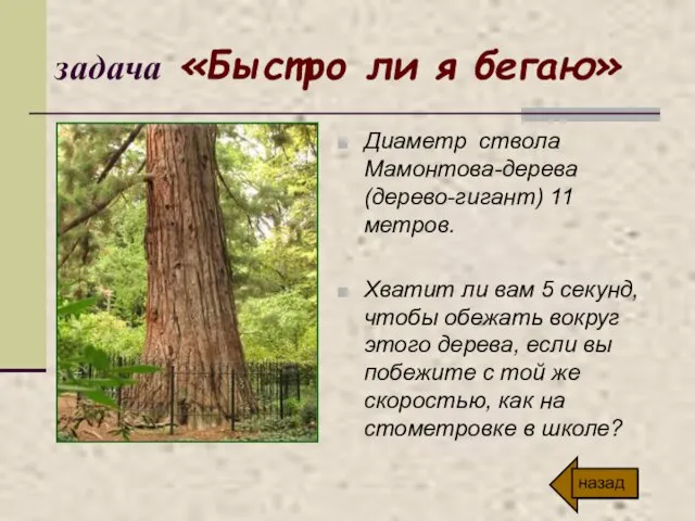 задача «Быстро ли я бегаю» Диаметр ствола Мамонтова-дерева (дерево-гигант) 11 метров. Хватит