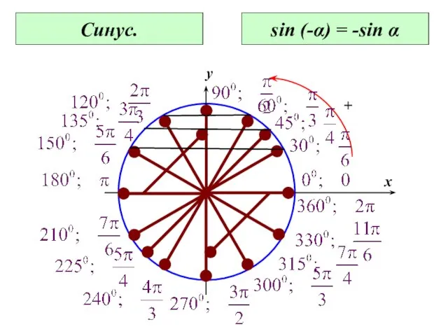 0 x y Синус. sin (-α) = -sin α