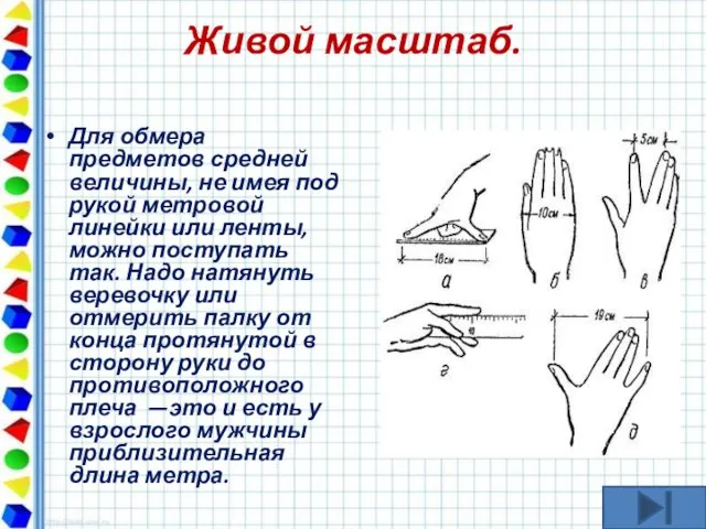 Живой масштаб. Для обмера предметов средней величины, не имея под рукой метровой