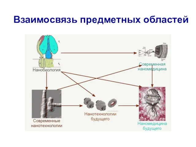 Взаимосвязь предметных областей