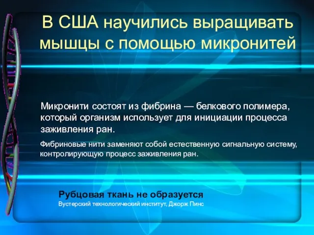 В США научились выращивать мышцы с помощью микронитей Микронити состоят из фибрина