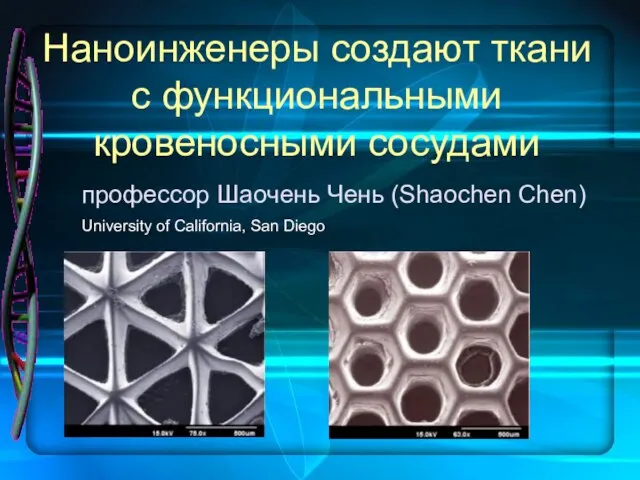 Наноинженеры создают ткани с функциональными кровеносными сосудами профессор Шаочень Чень (Shaochen Chen)