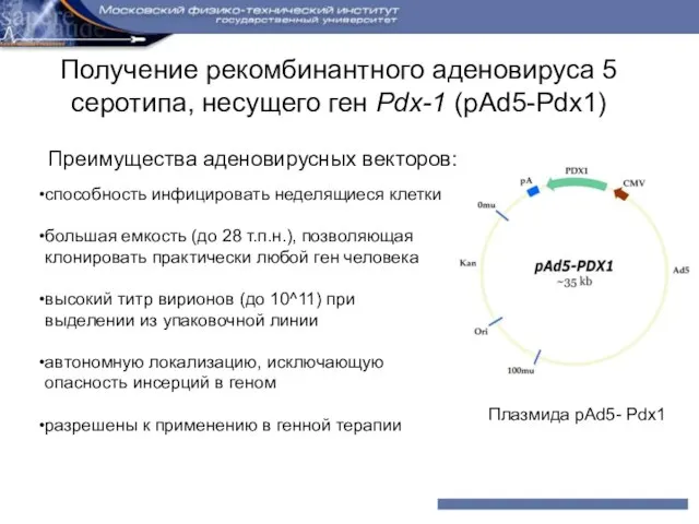 Получение рекомбинантного аденовируса 5 серотипа, несущего ген Pdx-1 (pAd5-Pdx1) Плазмида pAd5- Pdx1