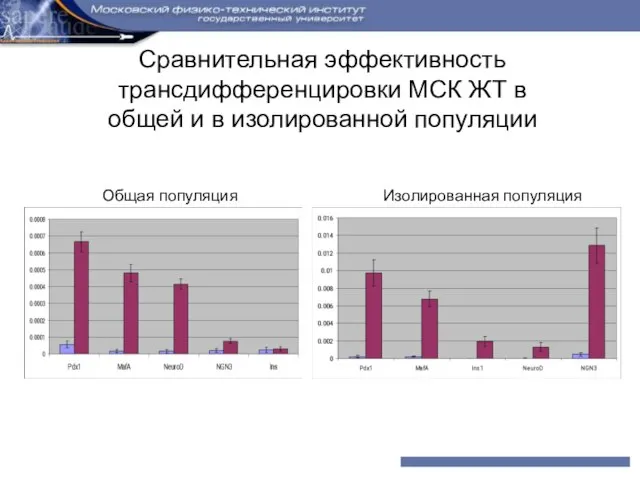 Сравнительная эффективность трансдифференцировки МСК ЖТ в общей и в изолированной популяции Общая популяция Изолированная популяция