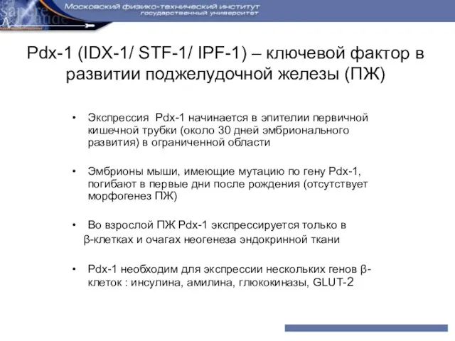 Pdx-1 (IDX-1/ STF-1/ IPF-1) – ключевой фактор в развитии поджелудочной железы (ПЖ)