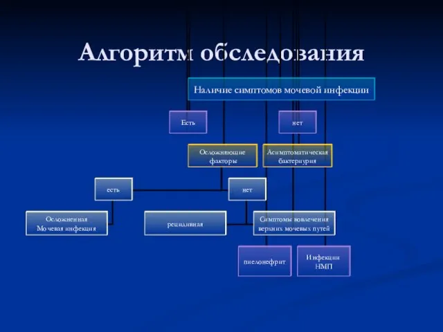 Алгоритм обследования