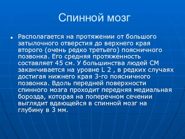 Спинной мозг Располагается на протяжении от большого затылочного отверстия до верхнего края