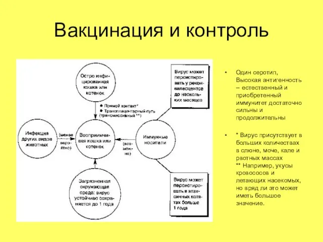 Вакцинация и контроль Один серотип, Высокая антигенность -- естественный и приобретенный иммунитет