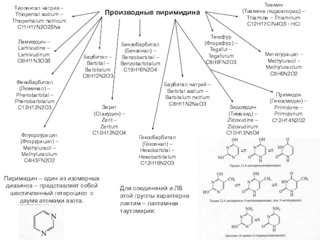 Пиримидин – один из изомерных диазинов – представляет собой шестичленный гетероцикл с