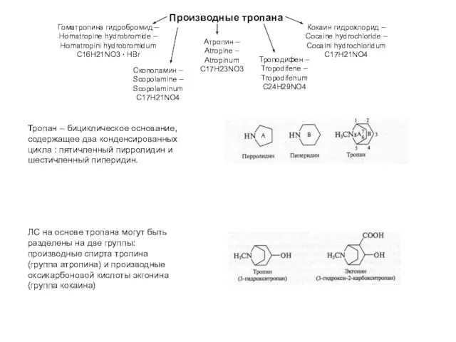 Тропан – бициклическое основание, содержащее два конденсированных цикла : пятичленный пирролидин и